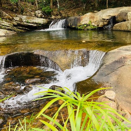 Pepper Garden Resort Ella Luaran gambar