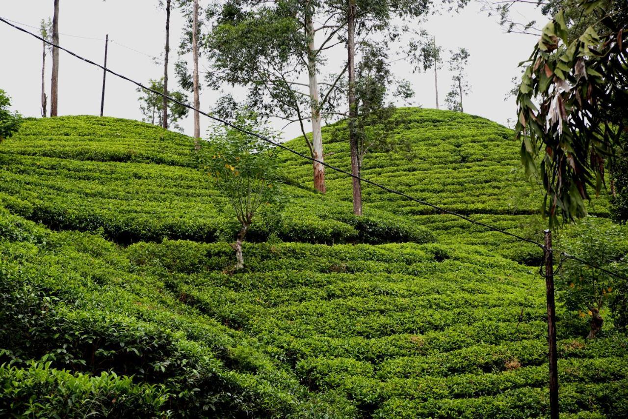 Pepper Garden Resort Ella Luaran gambar