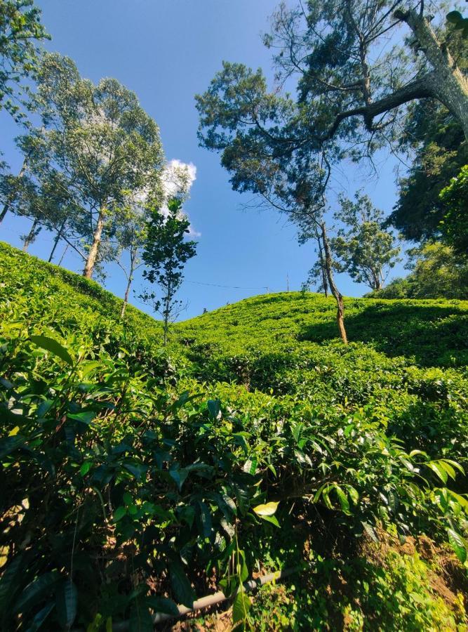 Pepper Garden Resort Ella Luaran gambar