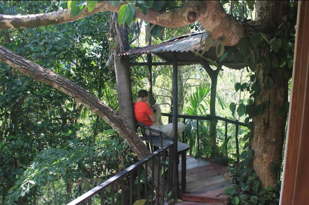 Pepper Garden Resort Ella Luaran gambar