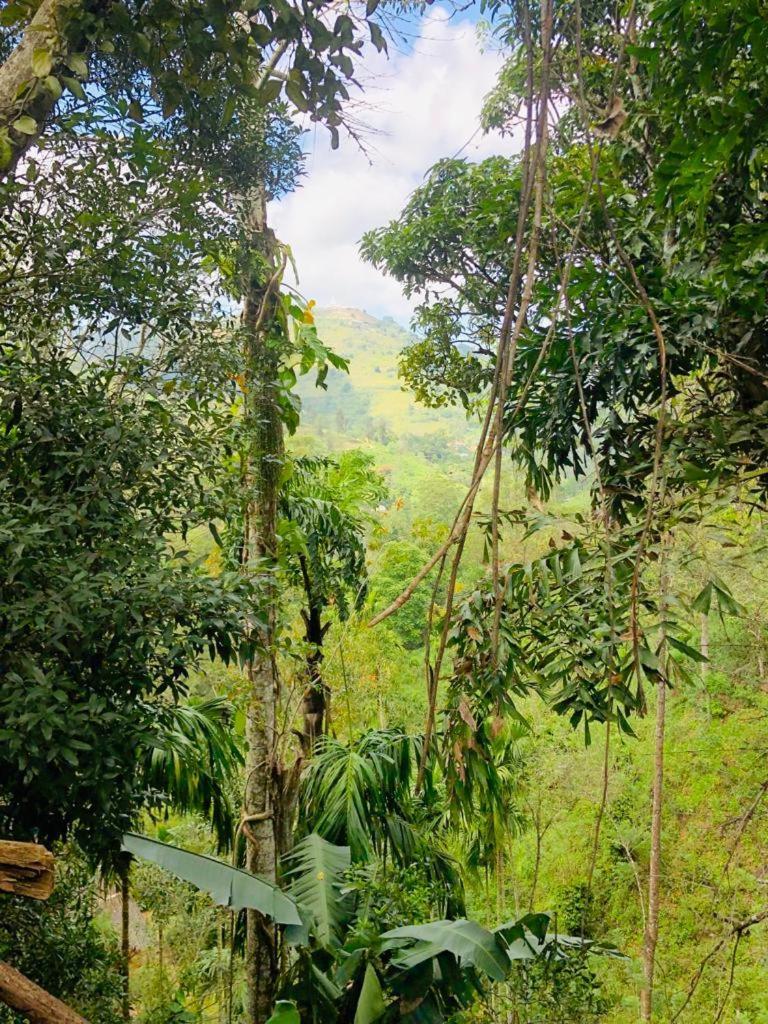 Pepper Garden Resort Ella Luaran gambar